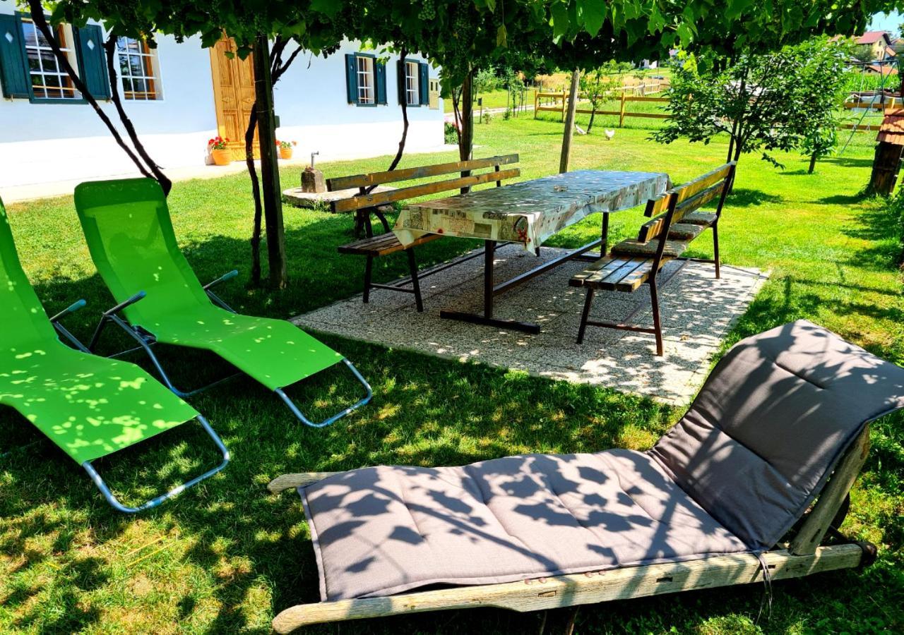 Vila Turisticna Kmetija Hisa Ob Gozdu Pri Ptuju Exteriér fotografie