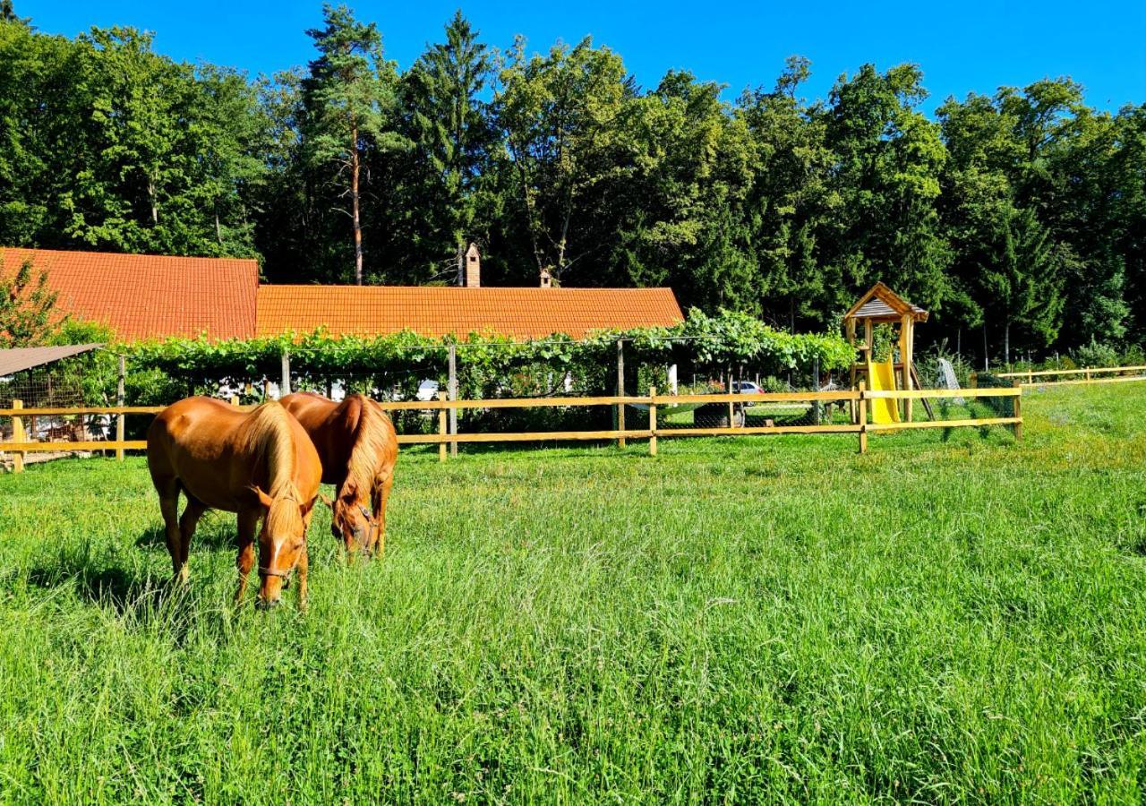 Vila Turisticna Kmetija Hisa Ob Gozdu Pri Ptuju Exteriér fotografie